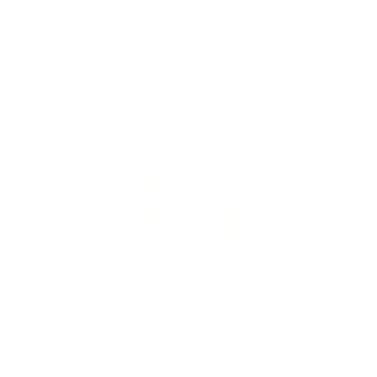 DOOM CLIQUE